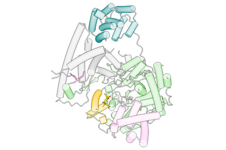Drug inhibits cancer cell growth by attacking mitochondria Drug inhibits cancer cell growth by attacking mitochondria