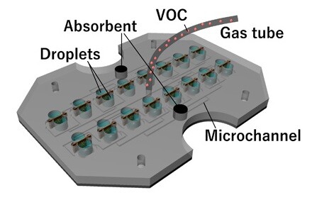 &#39;Biohybrid&#39; sensor can detect chemical odours