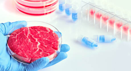 Flavoursome lab-grown meat sheets developed