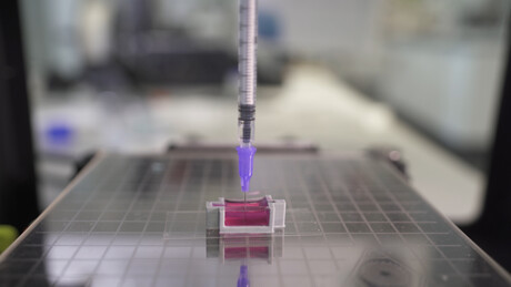 UNSW team prints 'bones' with living cells UNSW team prints 'bones' with living cells