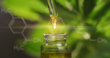 The antibiotic potential of CBD The antibiotic potential of CBD