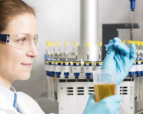 Rapid test detects quality and authenticity of olive oil