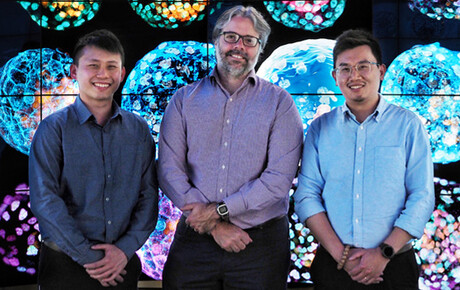 Early human embryo models generated from skin cells