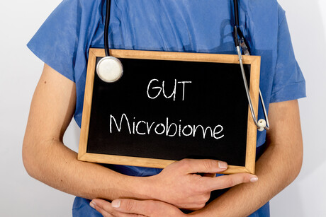 Microbial enzyme in gut may impact drug response Microbial enzyme in gut may impact drug response