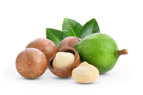 Aussie macadamias: from seed to snack