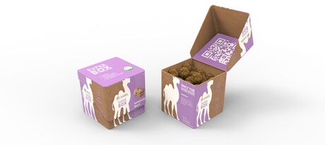 Winning design that turns peanut waste into packaging