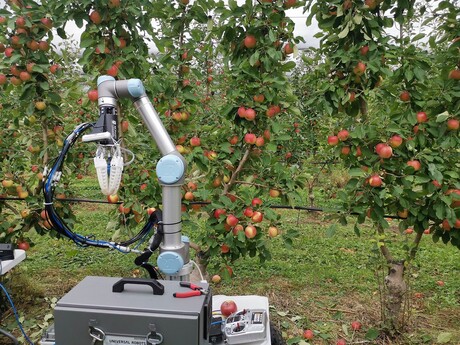 Apple-picking robot tackles fruit harvesting shortage