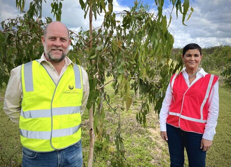 Recycled wastewater gives koalas a home among the gum trees Recycled wastewater gives koalas a home among the gum trees