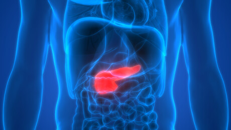 Pancreatic cancer cells&#39; addiction could be their downfall