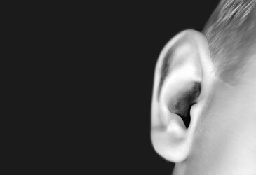 New genetic cause of hearing loss discovered New genetic cause of hearing loss discovered