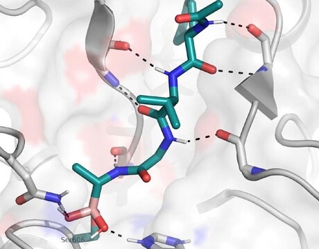 Newly designed drug compound to stop malaria in its tracks