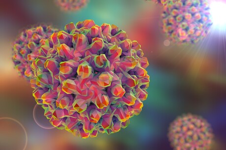 New immunotherapy proves effective against hep B virus