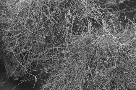 Improving the performance of lithium&ndash;sulfur batteries