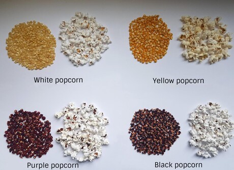 The secret to better popping popcorn