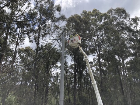 Bushfire risk on overhead lines &mdash; get it covered