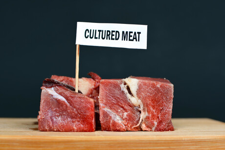 What&#39;s next for the cultured meat industry?