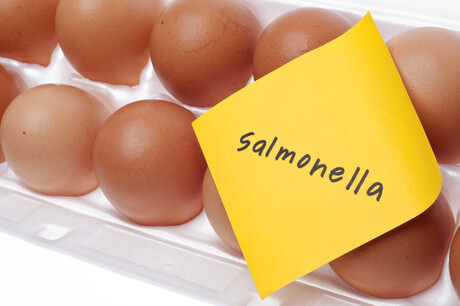 <em>Salmonella</em> detected at New Zealand egg production farm <em>Salmonella</em> detected at New Zealand egg production farm