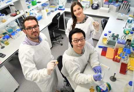 Fish oil&#39;s role in stopping superbugs