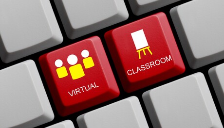 Tailoring virtual learning to student need