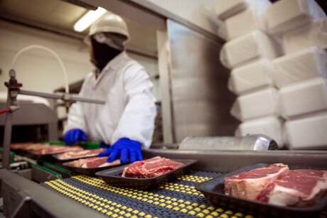 3D printing model available for Aussie red meat processors 3D printing model available for Aussie red meat processors
