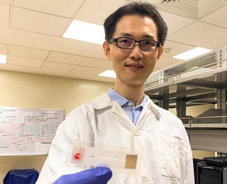 Rapid malaria test kit useful for developing countries