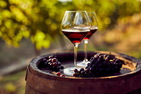 Improving wine quality by slowing grape ripening Improving wine quality by slowing grape ripening
