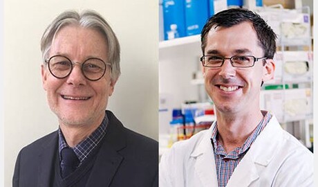 Development of blood vessel repair therapy accelerated