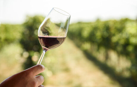 Naked Wines fund helps independent winemakers amid tariffs