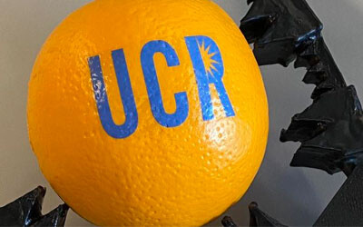 Pneumatic control for soft robots