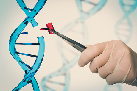Cas9 alternatives empower next-gen CRISPR applications Cas9 alternatives empower next-gen CRISPR applications