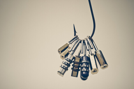 Top 30 routinely exploited vulnerabilities: ACSC, allies