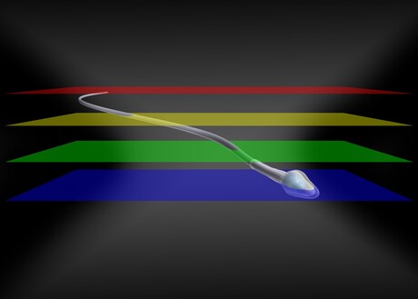 Imaging method to observe fast movements in 3D