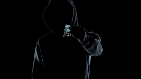 DNA can be recovered from drug capsules DNA can be recovered from drug capsules