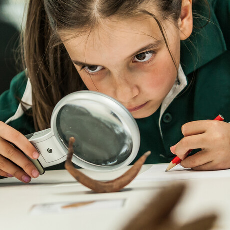 Science under the microscope: online event series