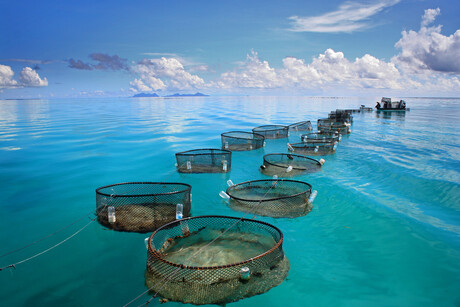Balancing the scales with responsible aquaculture Balancing the scales with responsible aquaculture