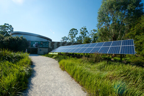 Victoria&#39;s zoos now powered by 100% renewable energy