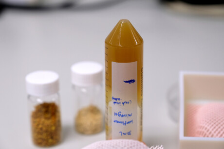 Bioprinting ink made out of pollen