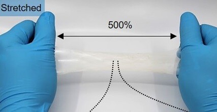 Elastic nanomembrane developed for skin electronics