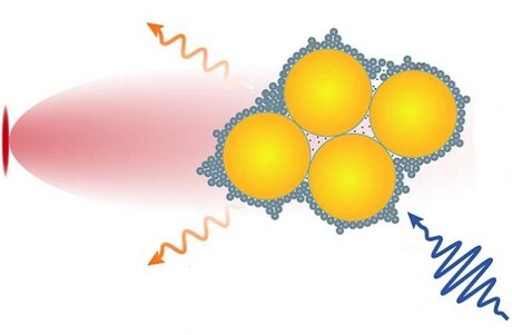 Nano camera for real-time monitoring of chemical reactions
