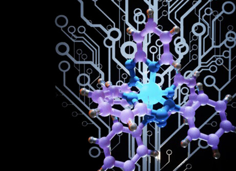 Molecular memory device inspired by the human brain