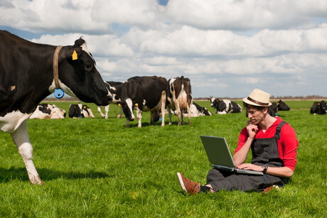 Dairy group applauds moo-ve to adopt traceability guideline Dairy group applauds moo-ve to adopt traceability guideline