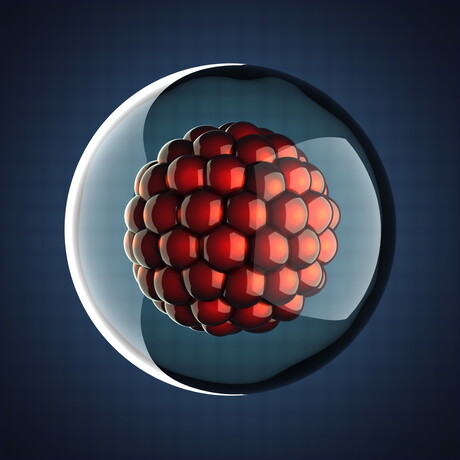 An all-in-one test for de novo genetic disease in embryos An all-in-one test for de novo genetic disease in embryos