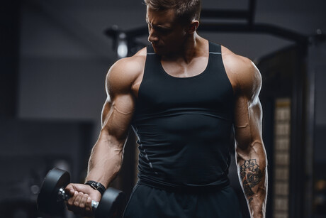 A healthy microbiome may be necessary for muscle growth A healthy microbiome may be necessary for muscle growth