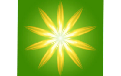 Australian food manufacturing cluster to run on green hydrogen