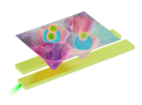 &#39;Light tweezers&#39; used to trap and move viruses