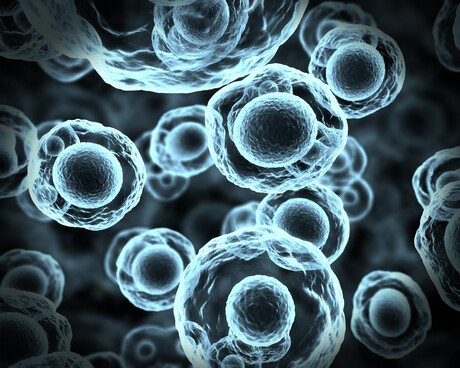 Aus researchers create the world&#39;s thinnest X-ray detector