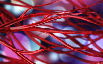 Vascular disease: five genes that may affect millions of women Vascular disease: five genes that may affect millions of women