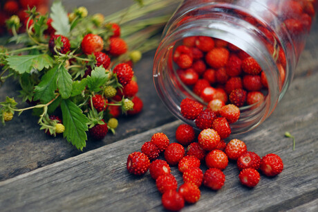 A natural way to manufacture wild strawberry flavour A natural way to manufacture wild strawberry flavour