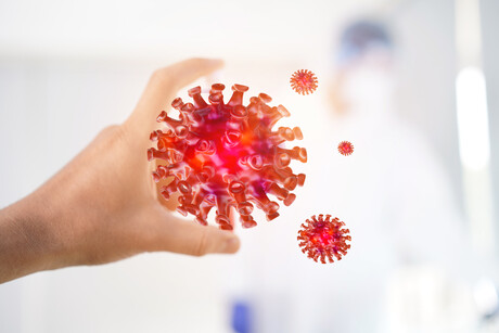 Understanding Omicron severity will take days to weeks: WHO Understanding Omicron severity will take days to weeks: WHO
