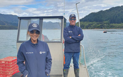 New Zealand oyster farming system wins innovation award New Zealand oyster farming system wins innovation award